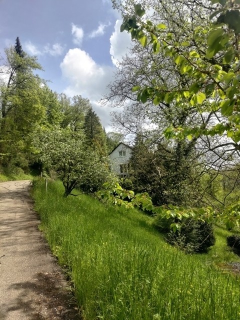 Teil der Auffahrt zum Haus
