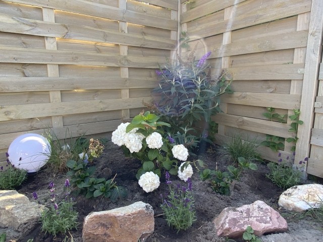 Gartenliebe