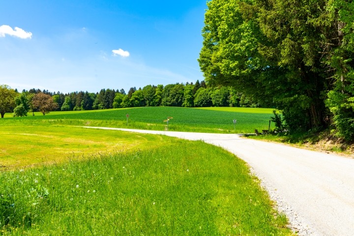 Saftige Wälder und Wiesen