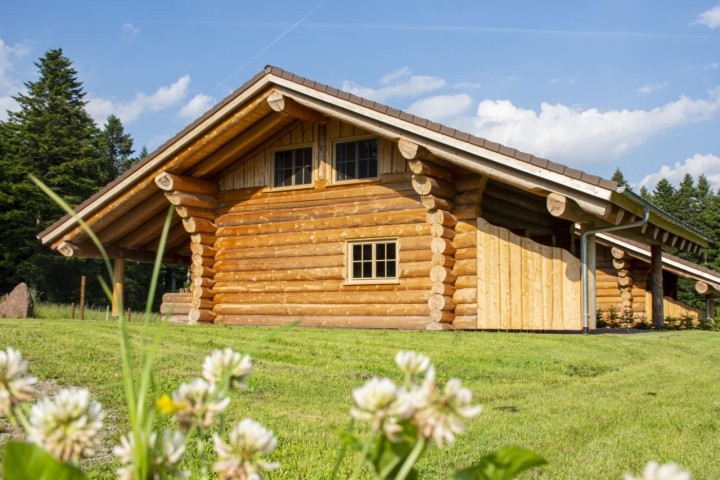 Umgebung (Almhütte "Hofblick" - Ansicht West)