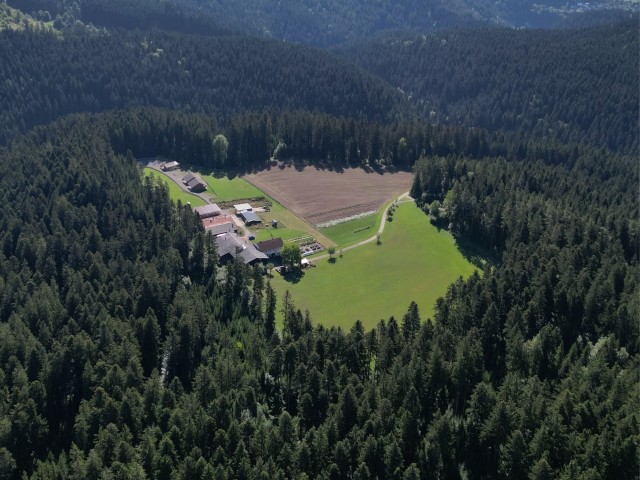 Luftbild Almruhe-Lichtung