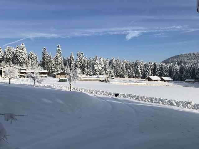 Winter auf der Almruhe