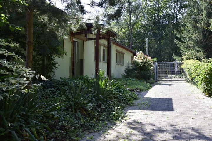Eingang vom Hof
