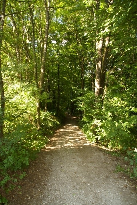 Kainachtal