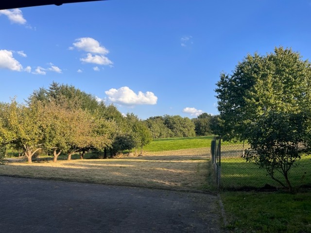 Ausblick