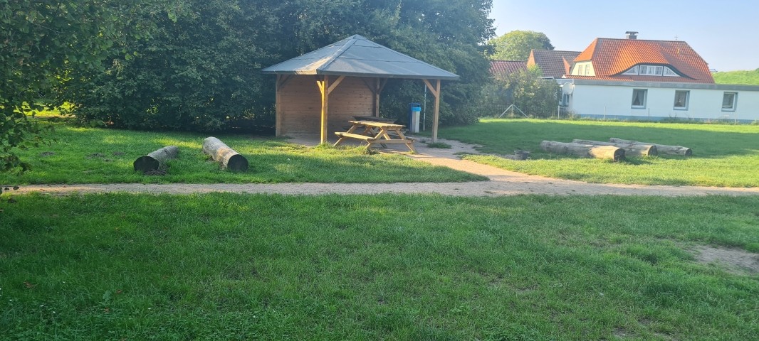 Riesiger Hundespieplatz, auf dem freies Toben erlaubt ist