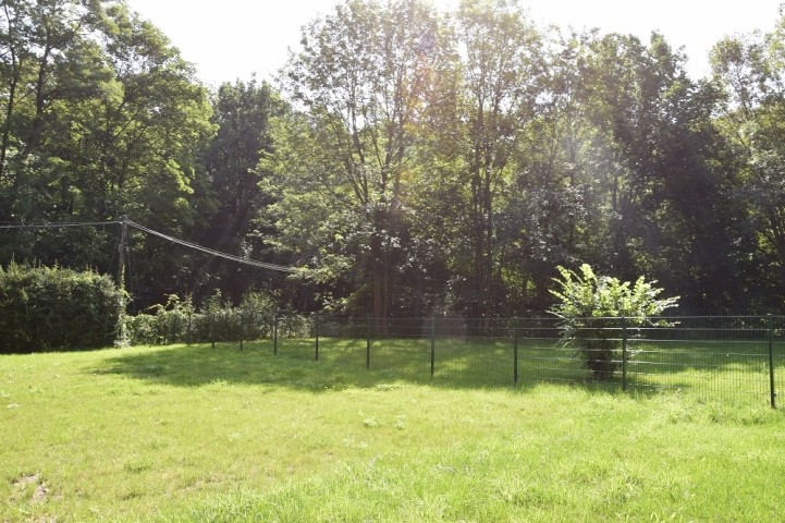 Hundewiese