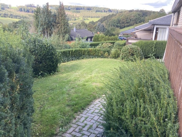 Blick ins Grüne