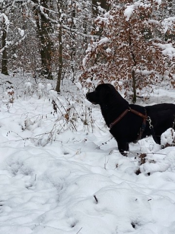 Winderwandern