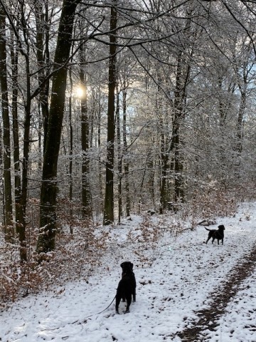 Winterwandern