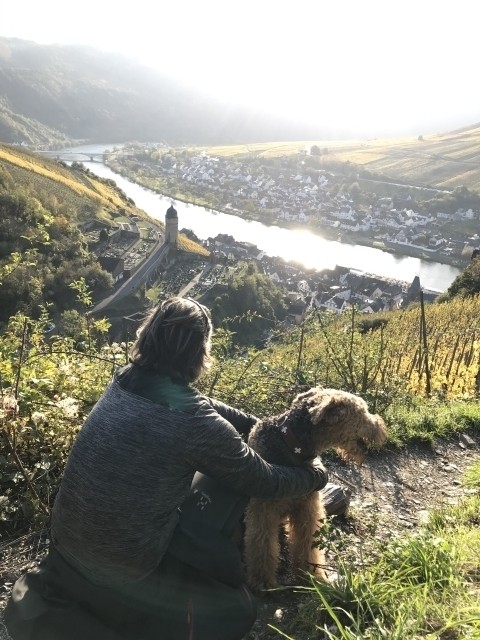 Mosellandschaft