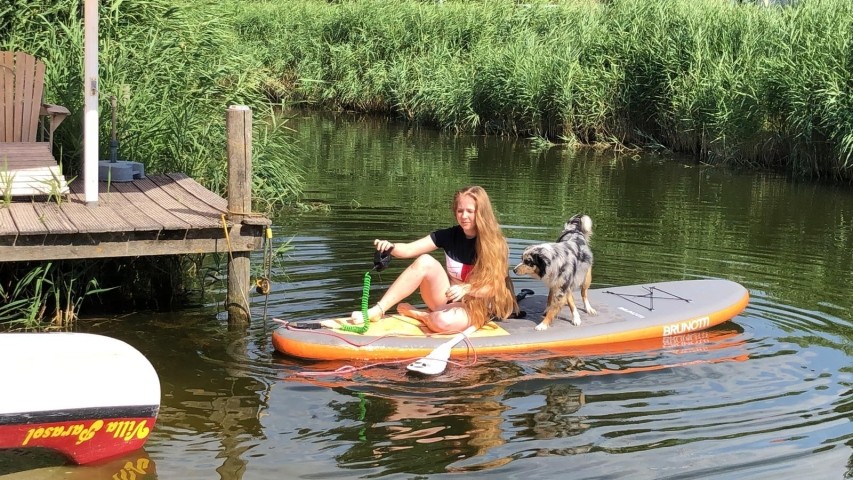 Hundurlaub
