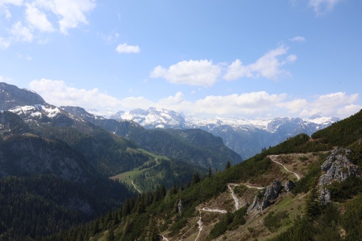 Blick vom Jenner
