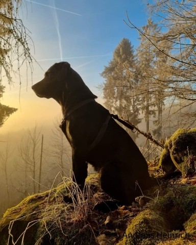 Blick vomFelsen