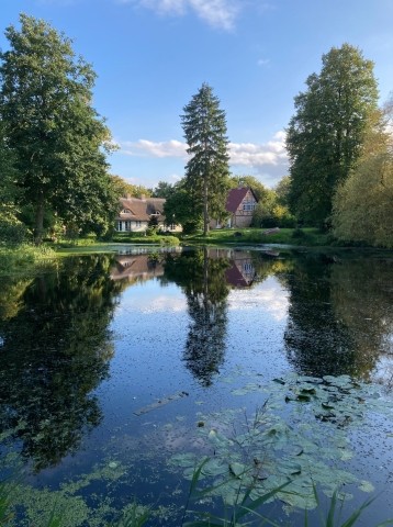 Der Garten mit dem Teich