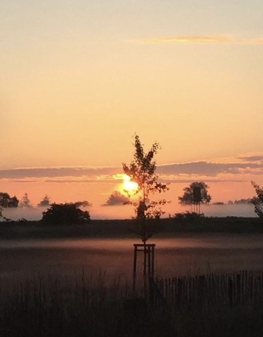 Gartenblick