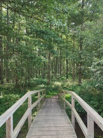 Brücke am Wanderweg Neuklostersee