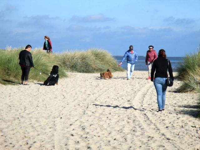 Hunde sind am Strand willkommen