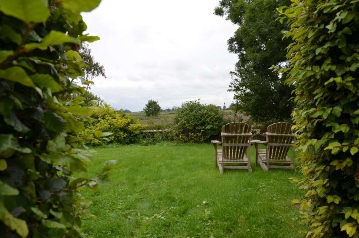 Blick in den Garten