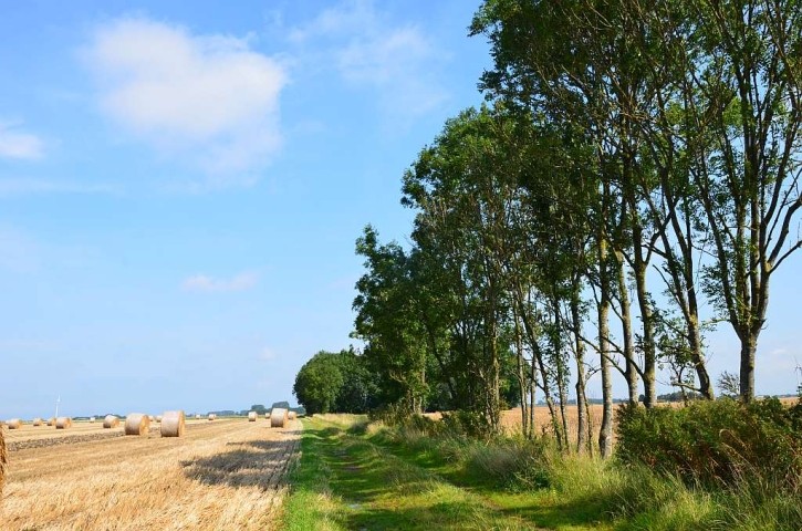 Wohnen in herrlicher Natur