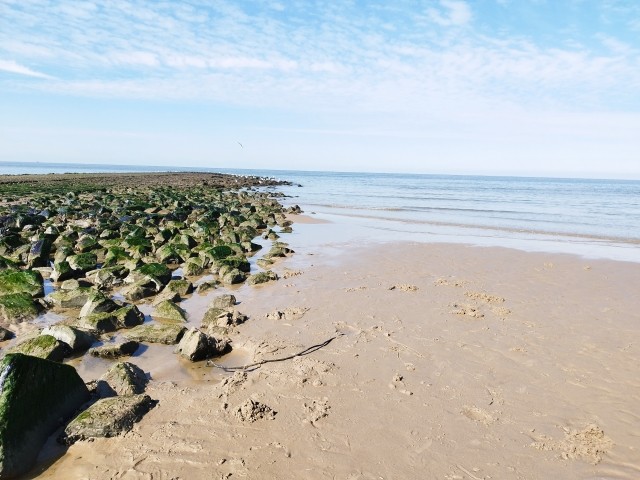 aan Zee
