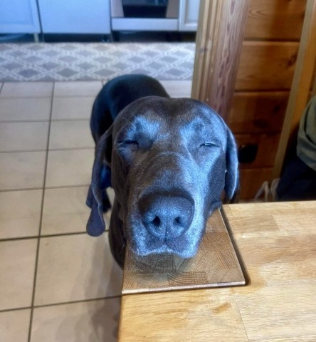 … der Tag war ja soooo anstrengend 