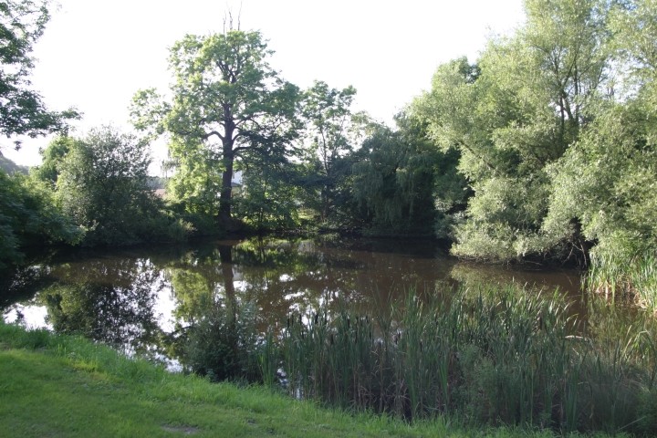 Teich