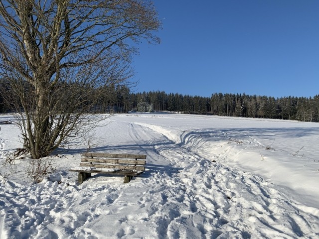 herrlicher Winter im Frankenwald mit wunderschönen Spaziergängen.