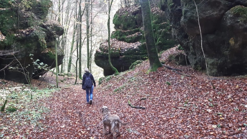 Herbstwanderung