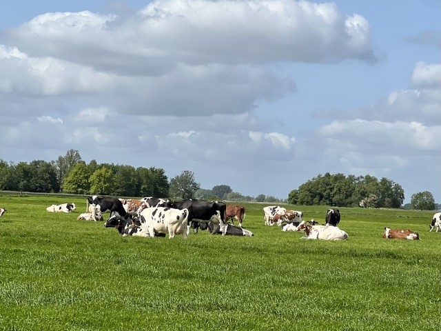 Friesland pur geniessen vom Rad oder Boot