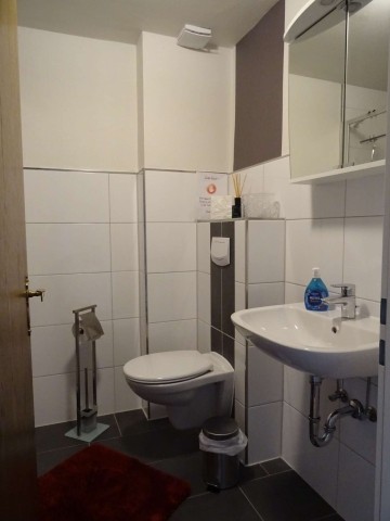 Waschtisch und WC