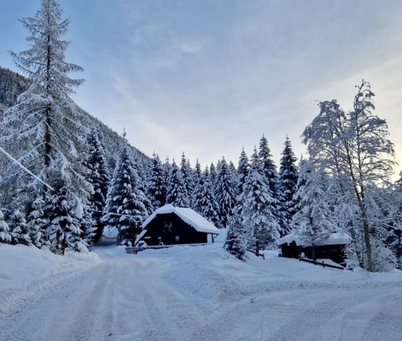 Almhaus mit Hundeherz und Schneegarantie 