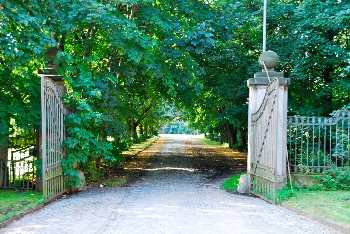 Einfahrt allee