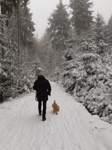 Wandern im Winter 