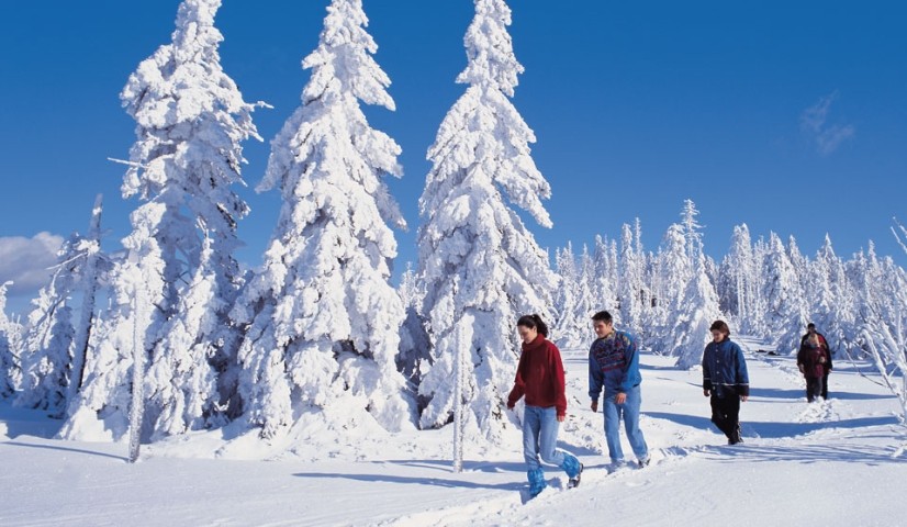 Schneeschuh- Winterwandern 