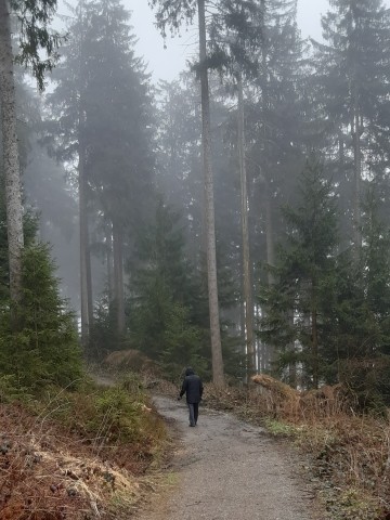 Im Herbst 