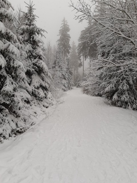 Winterlich 