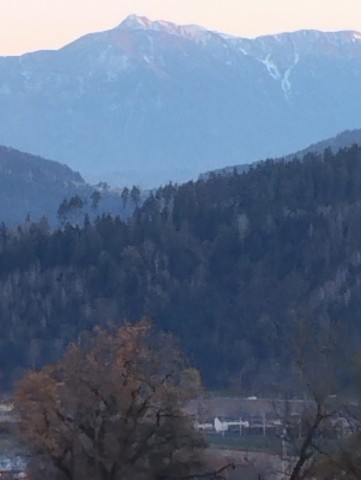 Ausblick von der hundewiese vor der Haustür