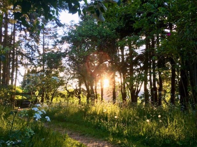 Naturgarten