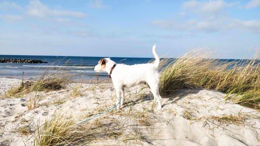 Strandbild V Ostsee