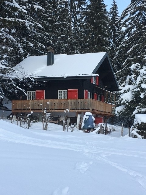 Chalet vom Garten aus Chalet vom Garten aus