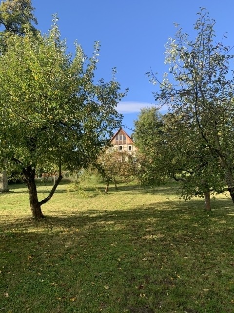 Blick nach -Westen auf die Obstwiese