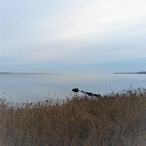 tief Luft holen