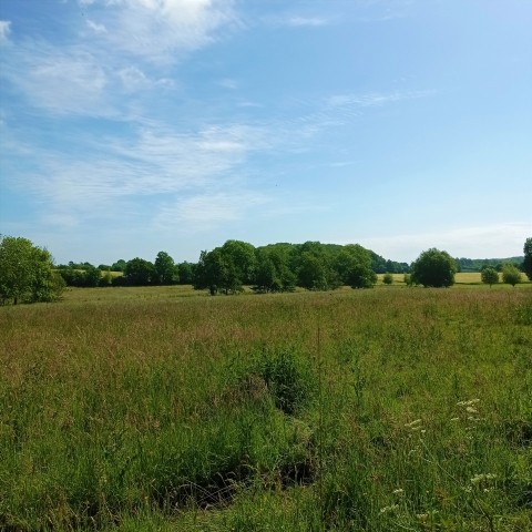 Natur...