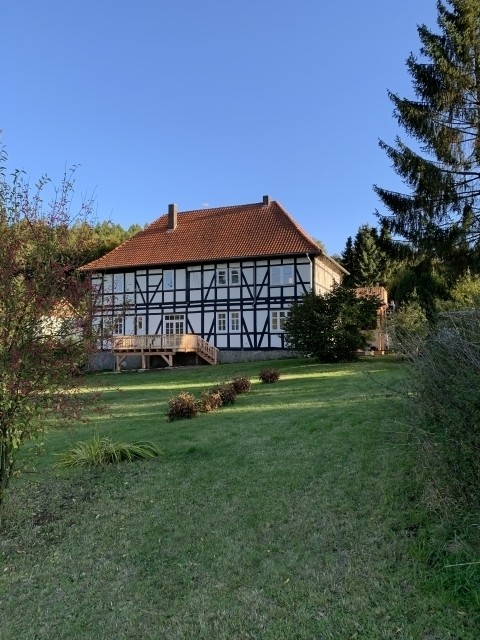 Sicht vom Garten