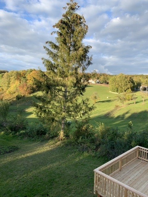 Eine idyllische Landschaft
