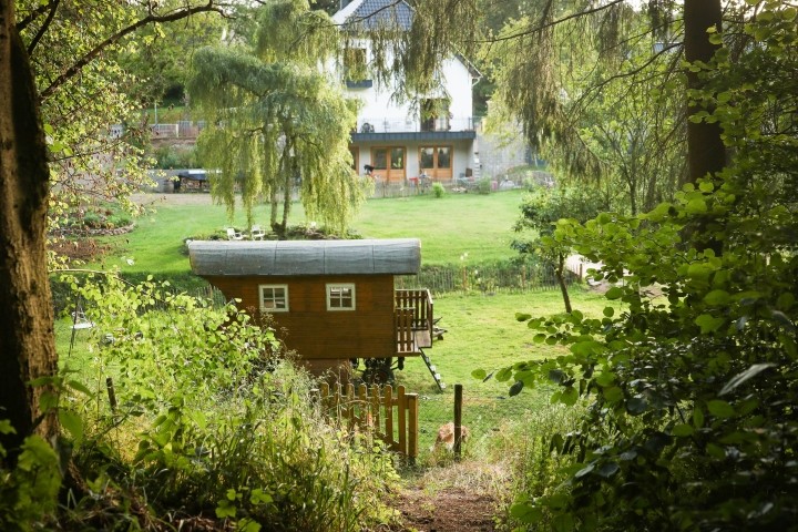 Blick in den Garten vom Wald aus