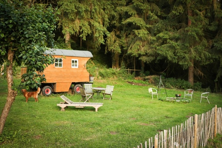 Blick in den Garten, eingezäunter Bereich