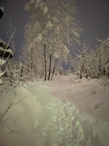 Aktuelles Winterwonderland und 60 cm Schnee 