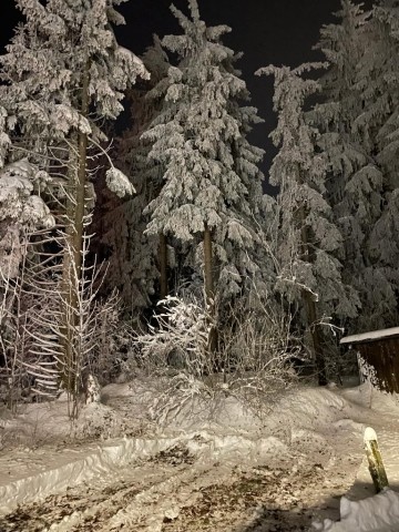 Winterwonderland Harz und 60 cm Schneehöhe